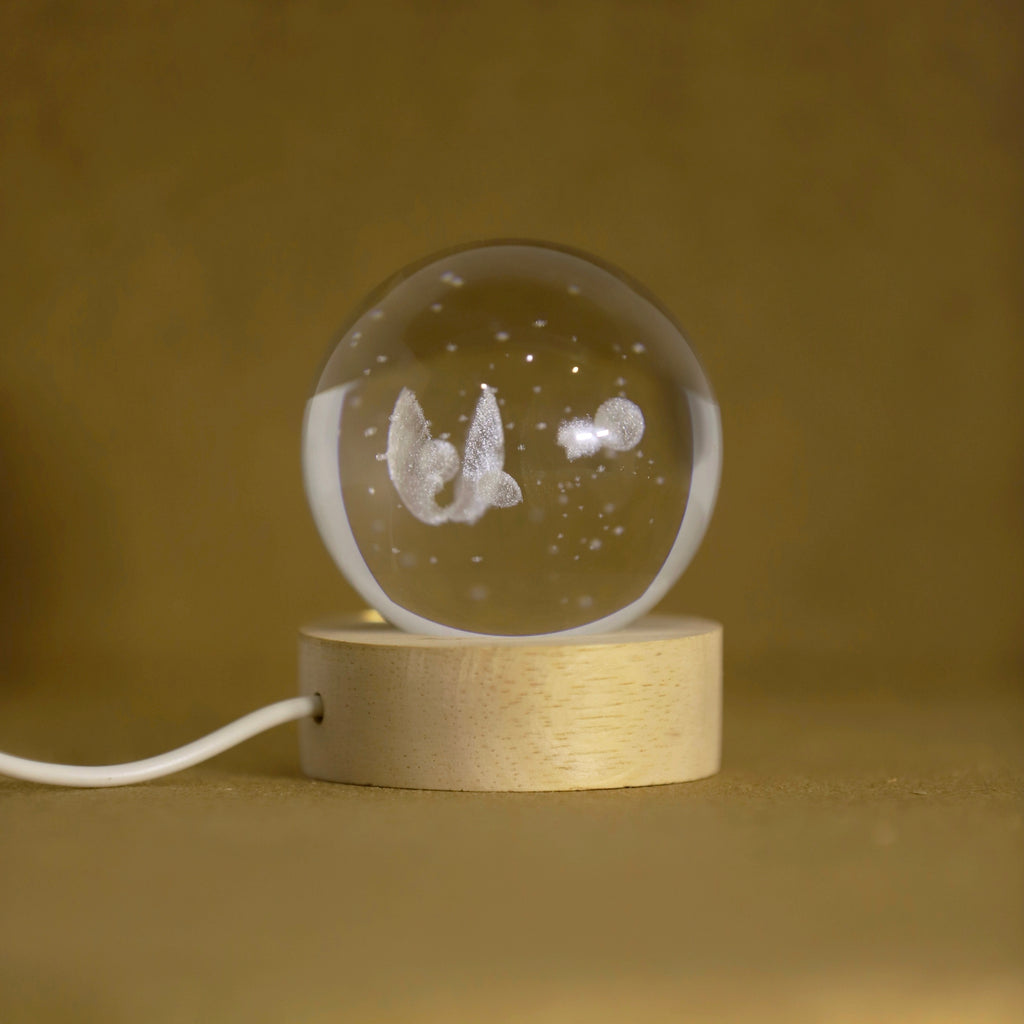 Renkli Kuş Temalı Kar Küresi